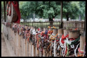 In memory of the dead, The Killing Fields, Phnom Penh, Cambodia