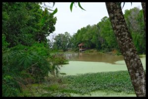 The Killing Fields, Phnom Penh, Cambodia