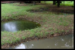 The Killing Fields, Phnom Penh, Cambodia