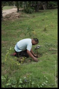Planting a Tree in memory of the dead, The Killing Fields, Phnom Penh, Cambodia