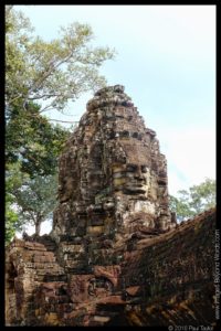 IMG_1590