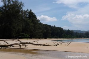 Nai Yang Beach, Phuket
