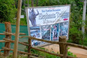 Elephant Trekking, I don't think so