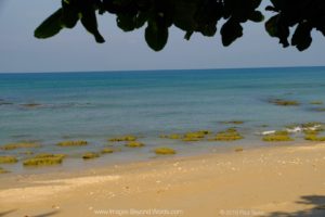 Green Chilli Bungalows Breach