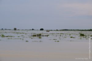 On the way to the Floating village at Kampong Phluk, Cambodia 