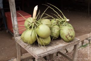 Coconuts. The end of the line, The Bamboo Train. Battambang
