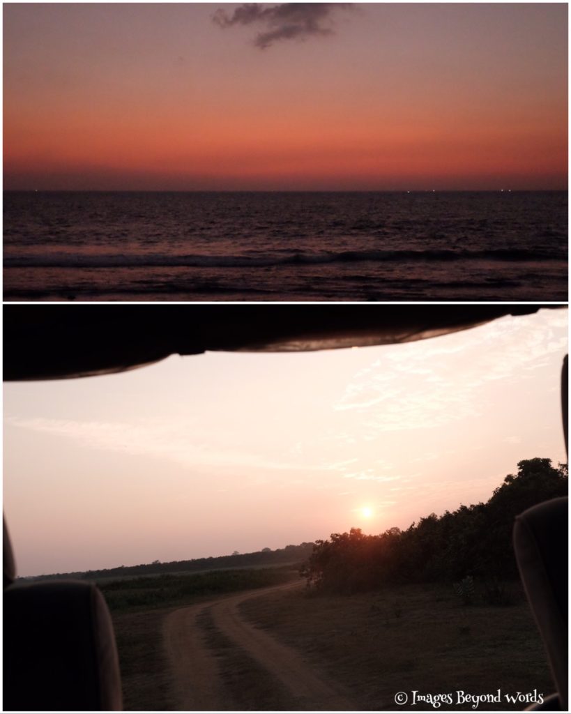Early morning at Uda Walawe National Park