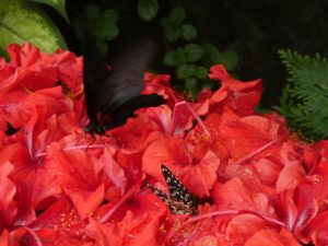 8F194E9B-5992-4AD2-9CDD-1AFC9CB09769