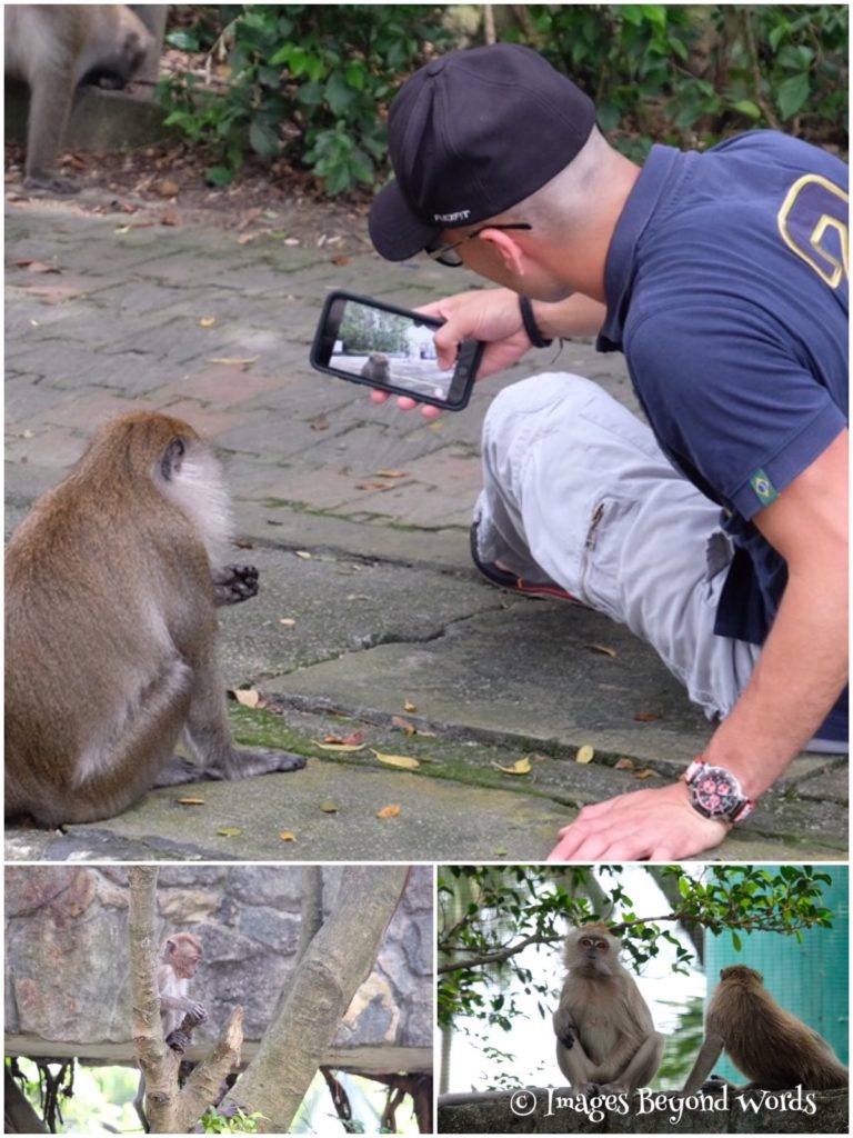  The Bird Park Kuala Lumpur.