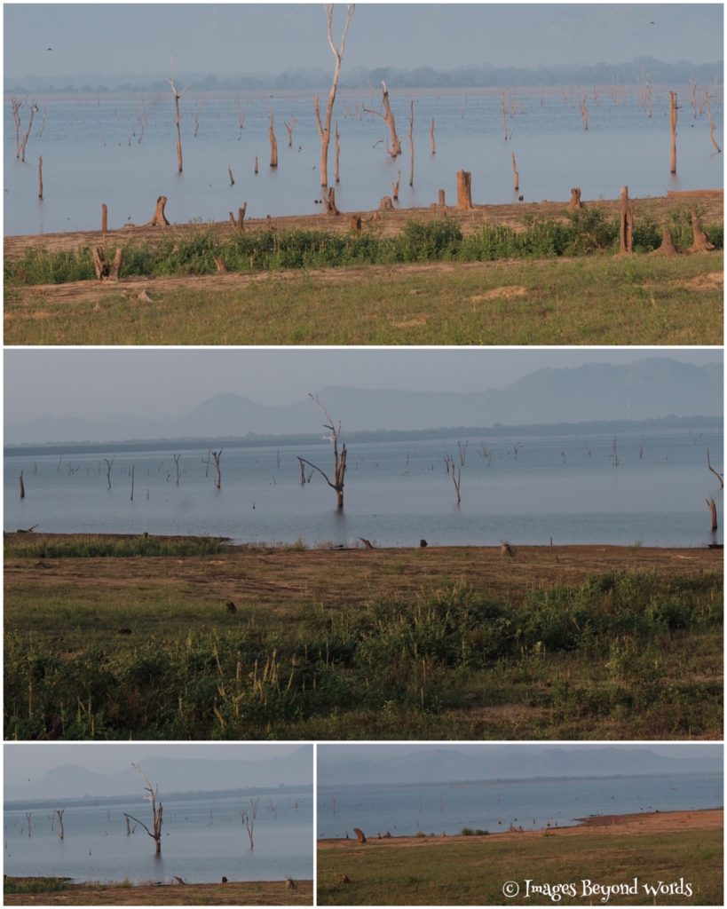 Uda Walawe National Park