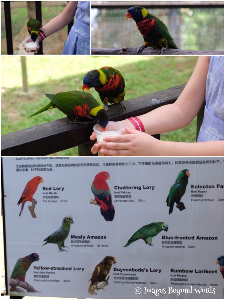  The Bird Park Kuala Lumpur.