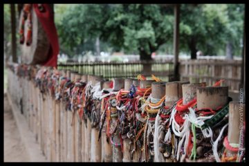 In memory of the dead, The Killing Fields, Phnom Penh, Cambodia