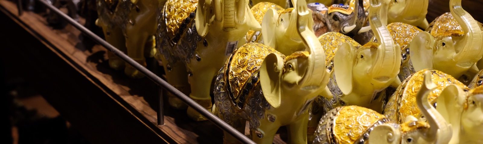 Elephants