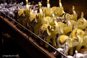 Elephants